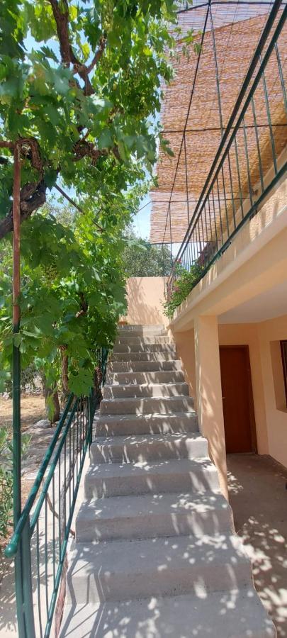 Apartments Lucky لازوفاك المظهر الخارجي الصورة